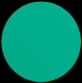 marka force logo green